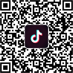 抖音小程序